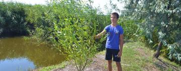 Подросток из Одесской области высадил 120 деревьев